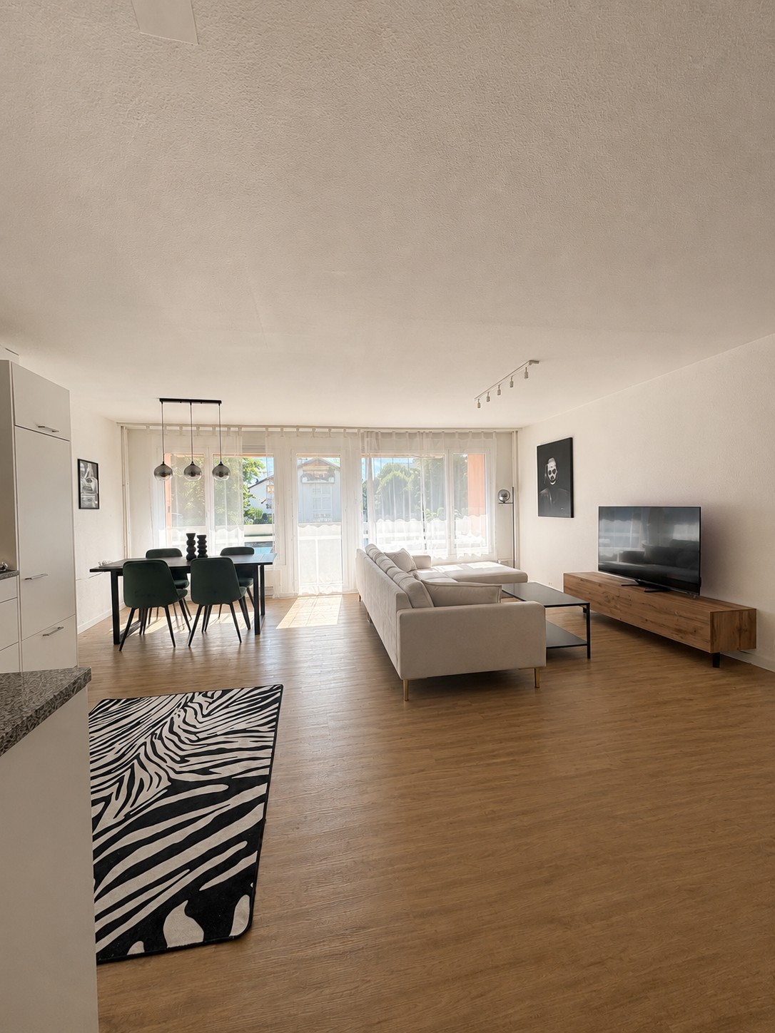 Appartement de 3 ½ pièces