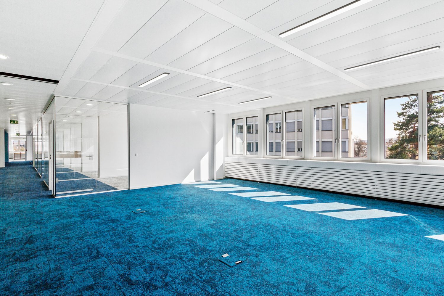 1005m² ufficio
