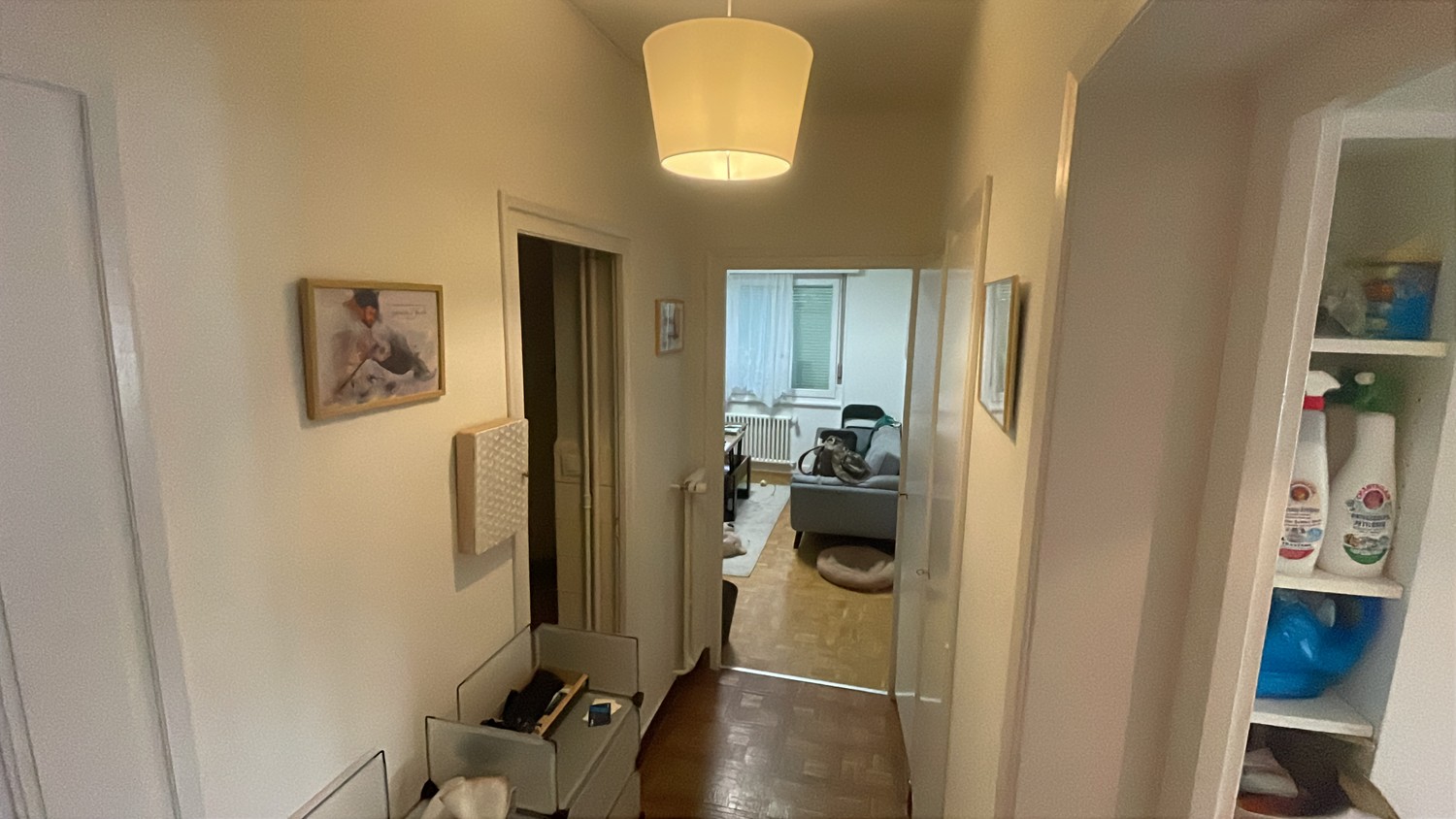 3 ½ Zimmer-Wohnung