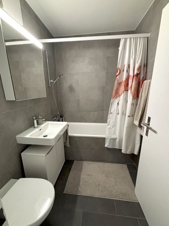 4 ½ rooms furnished flat