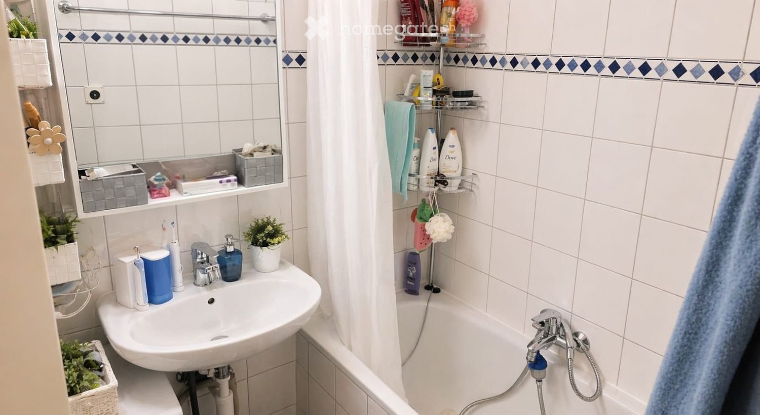 3 ½ Zimmer-Wohnung