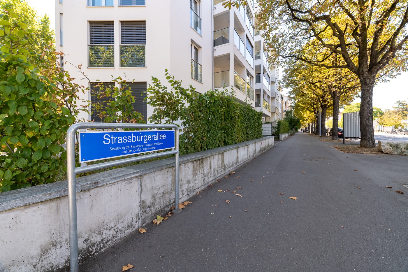 2 ½ rooms furnished flat