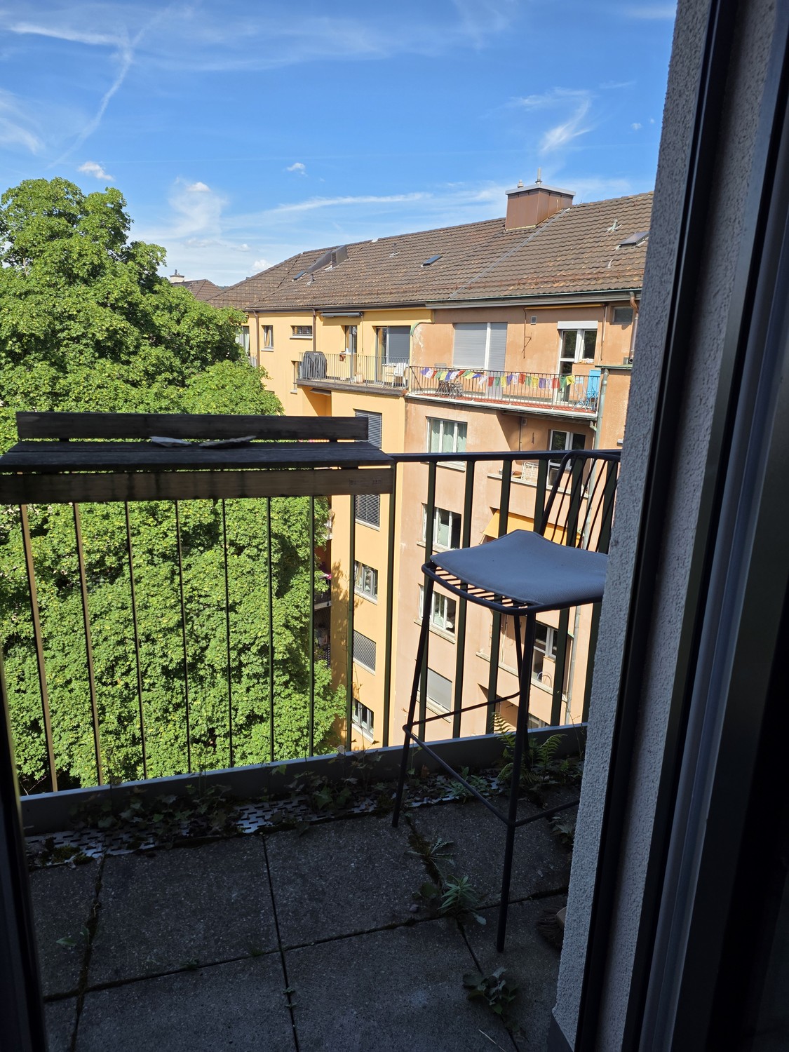 Room in a shared flat