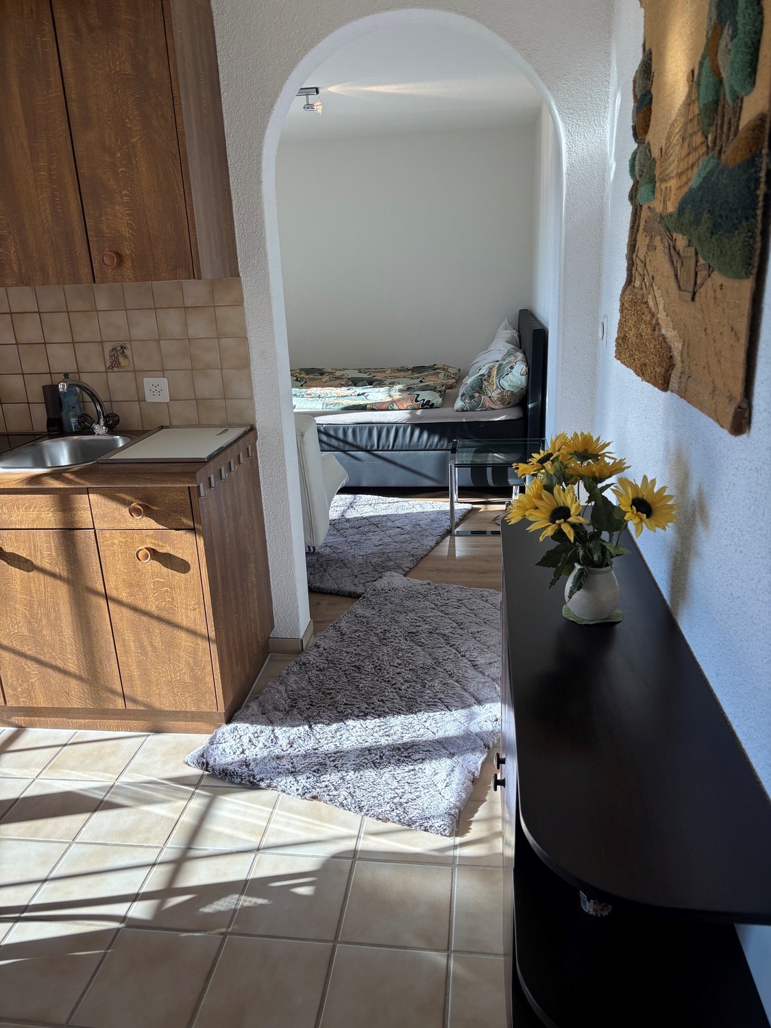 Appartement de 1 ½ pièces
