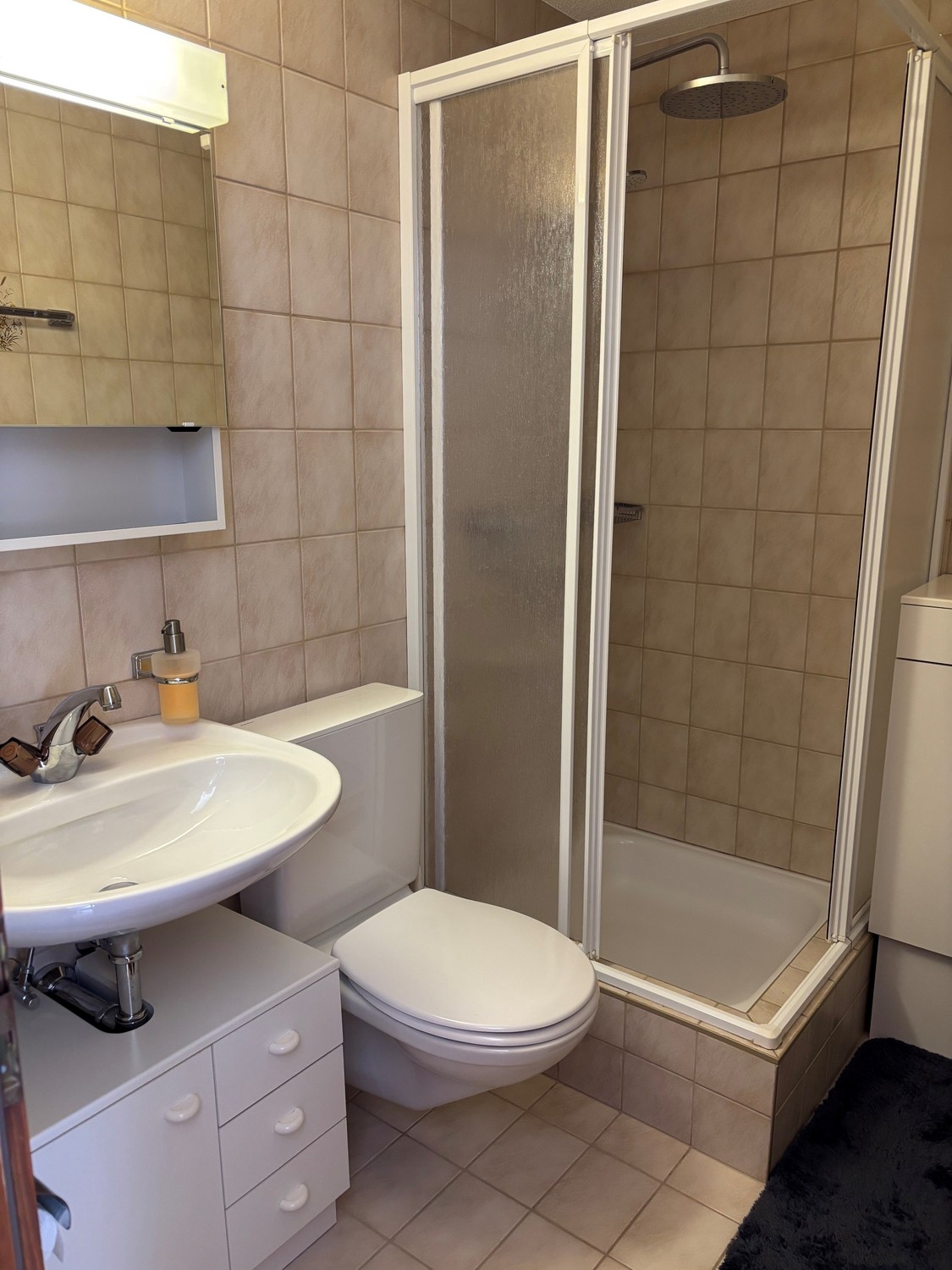 Appartement de 1 ½ pièces