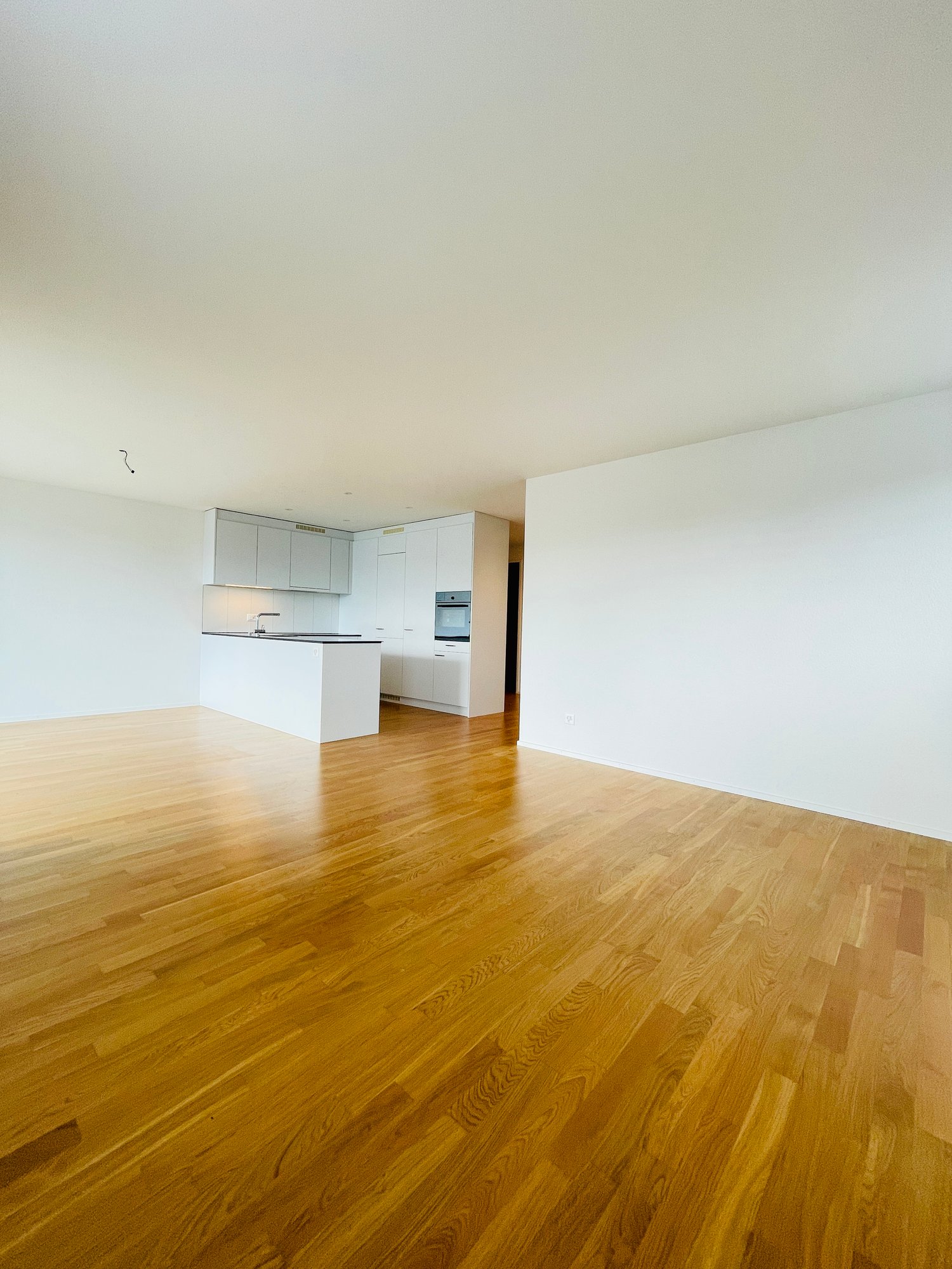 Appartamento di 4 ½ locali