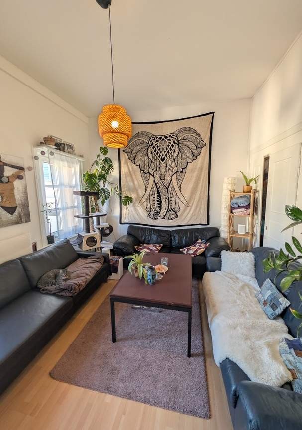 Room in a shared flat