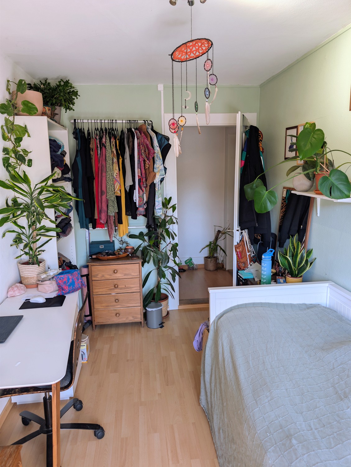 Room in a shared flat