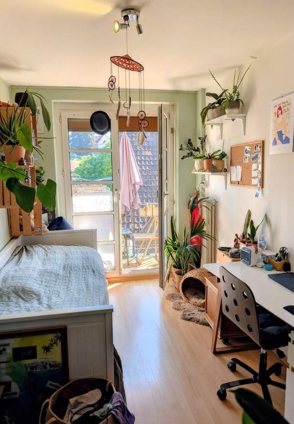 Room in a shared flat