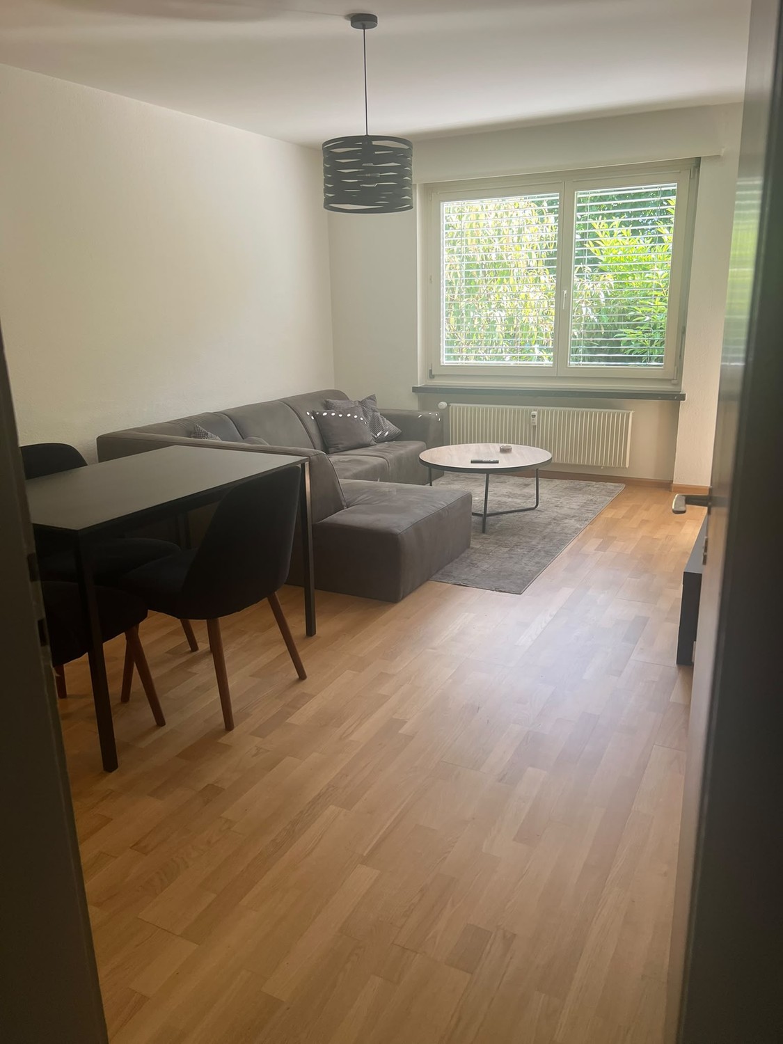 3 ½ Zimmer-Wohnung