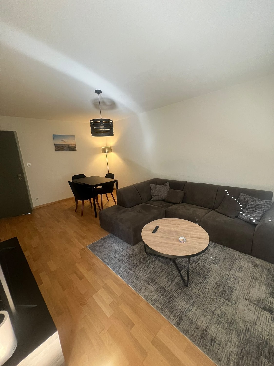 3 ½ Zimmer-Wohnung
