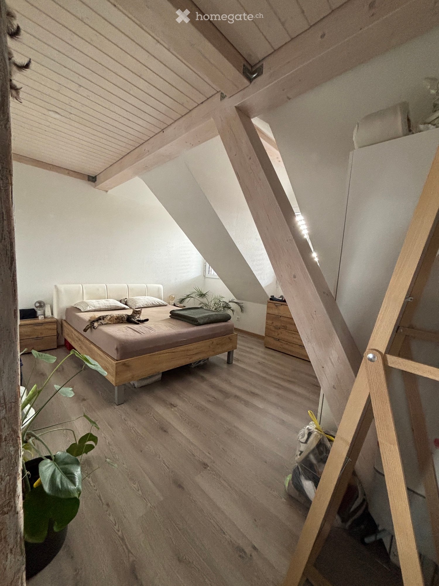 3-Zimmer-Wohnung