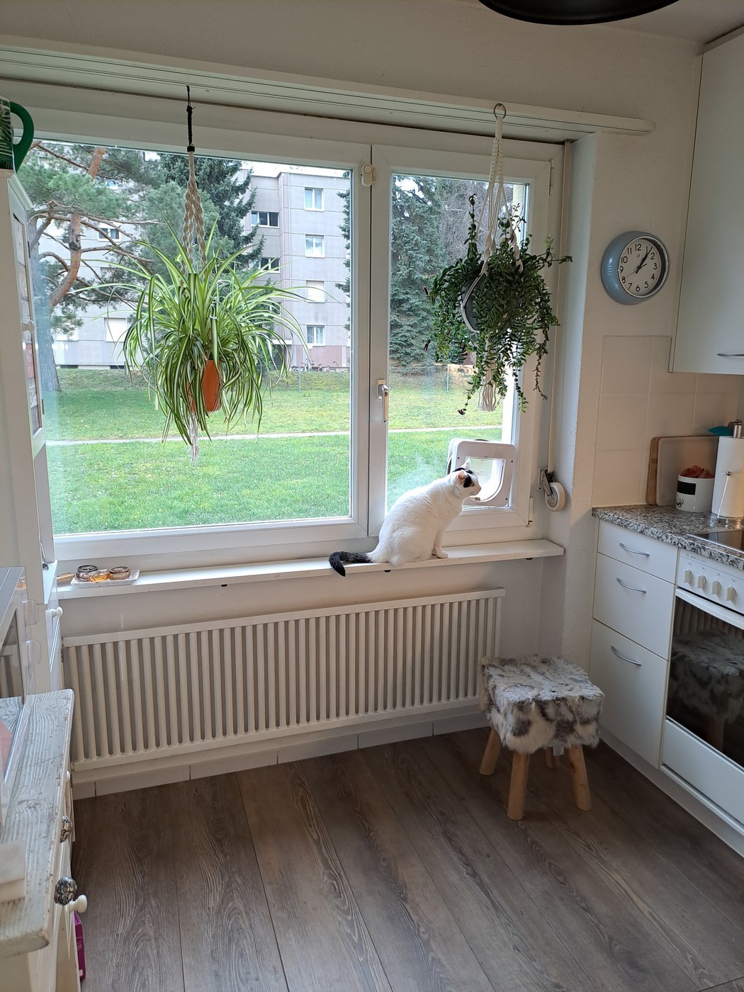 Chambre dans un appartement partagé