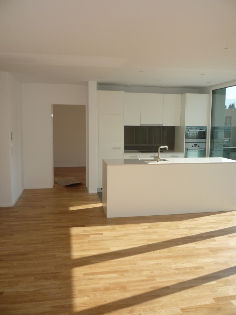 Appartement de 3 ½ pièces