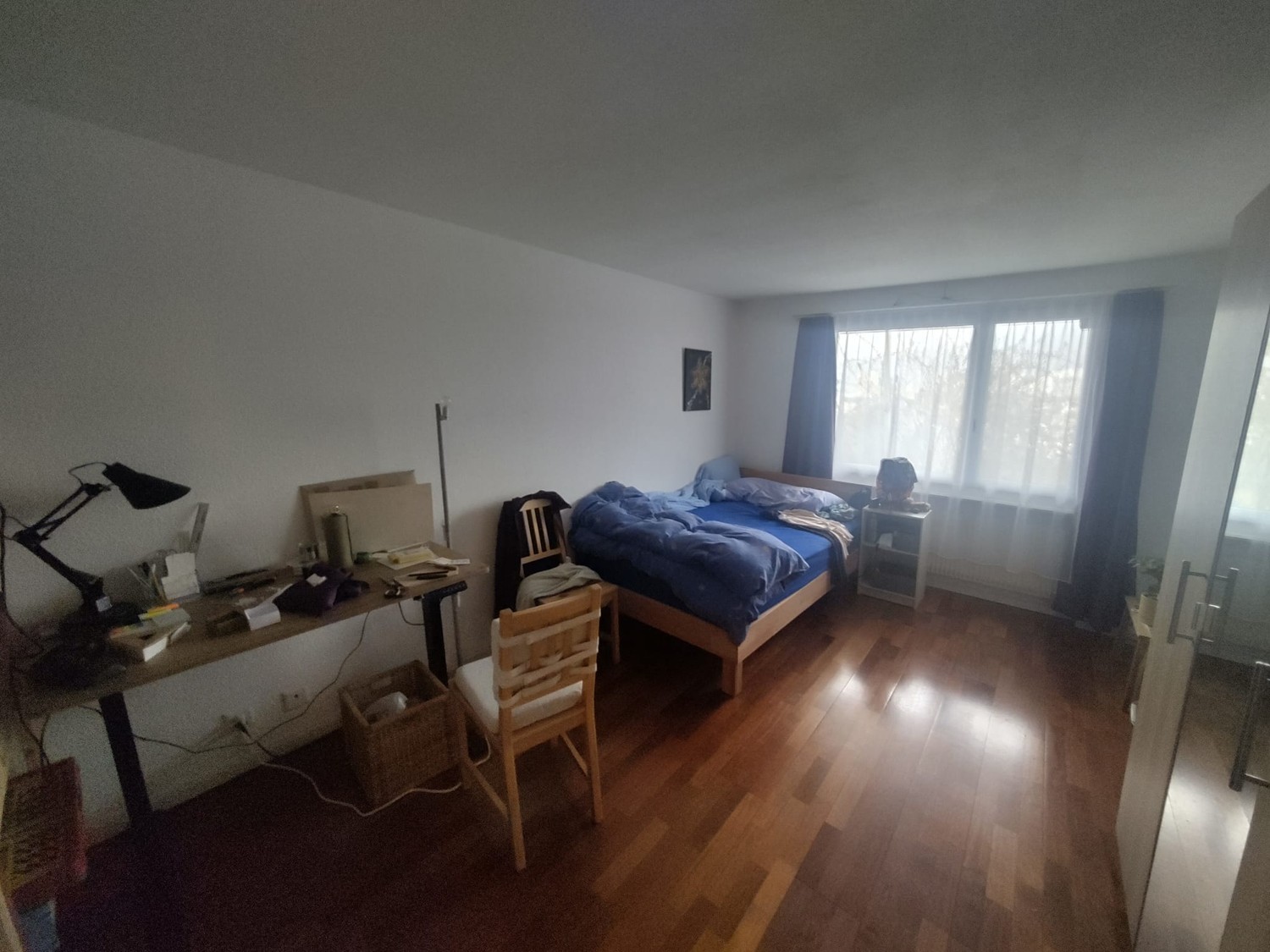 Room in a shared flat