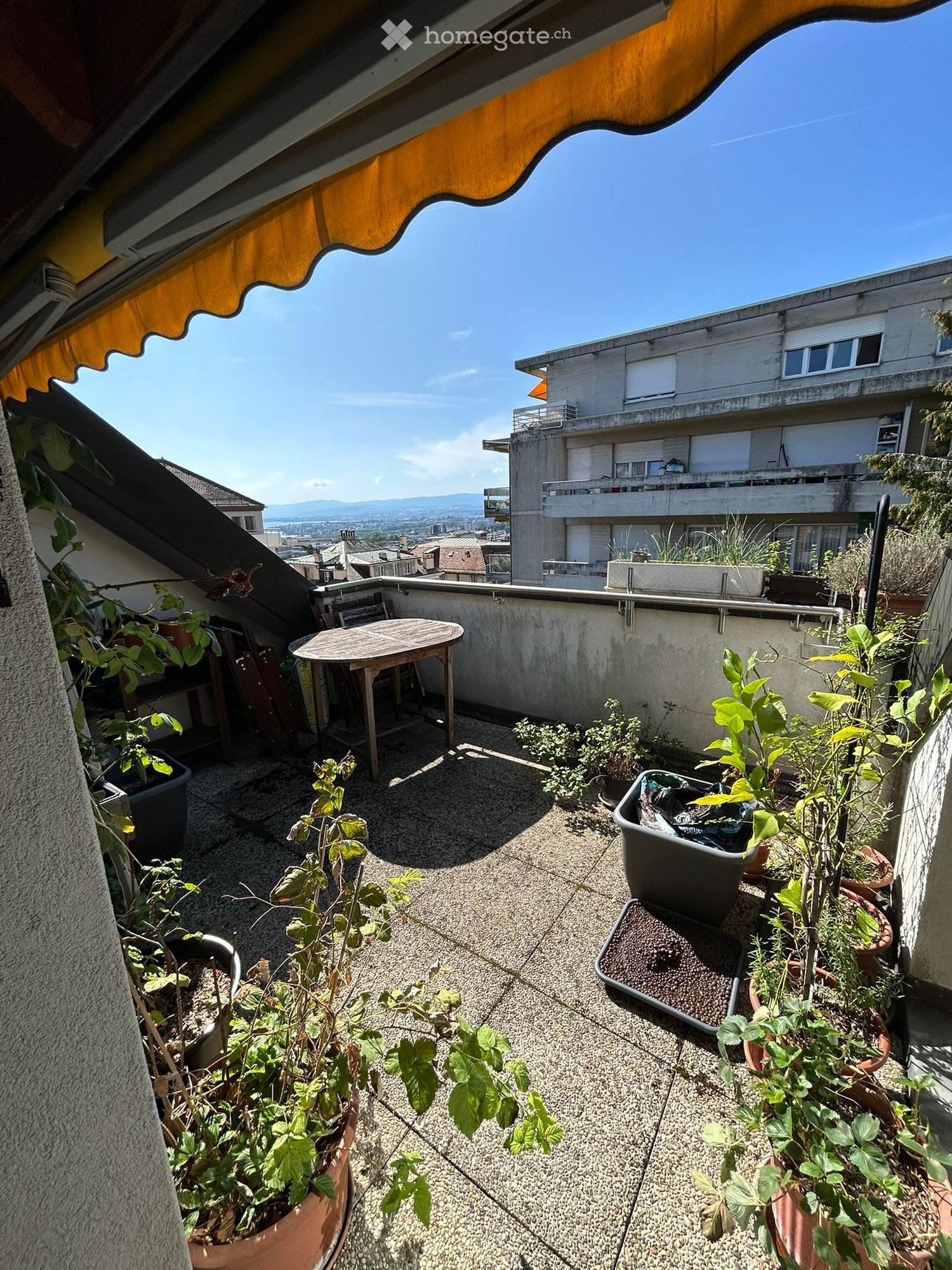 3 ½ Zimmer Wohnung