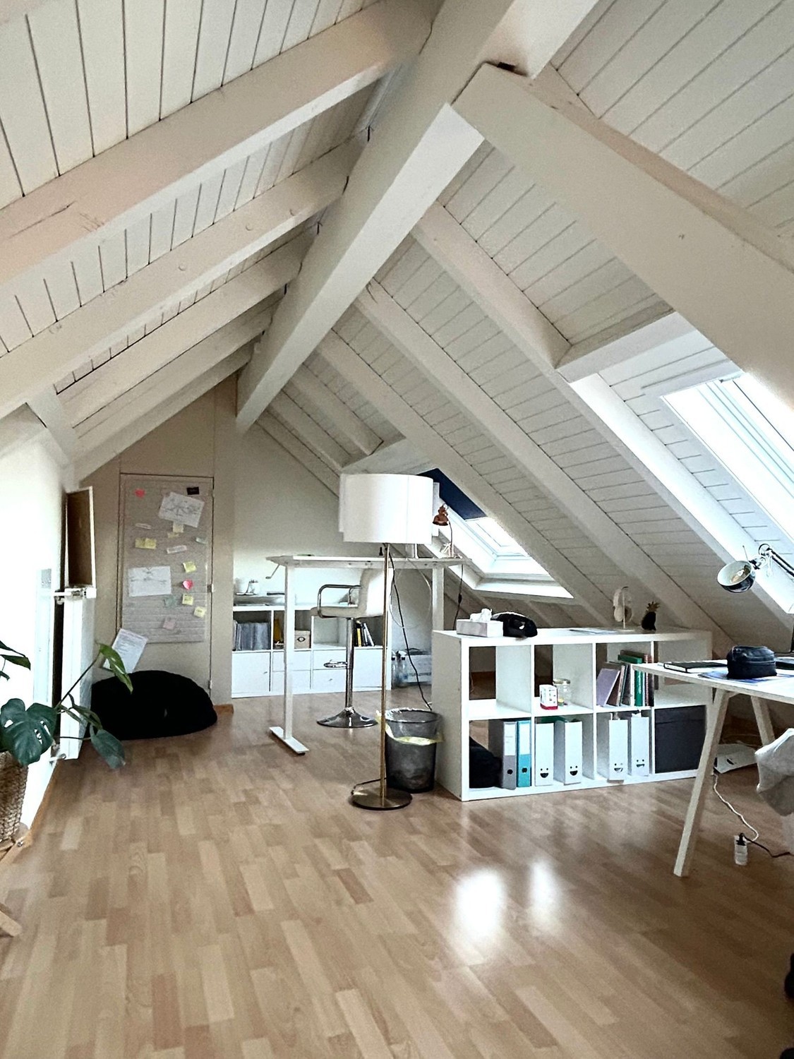 Room in a shared flat