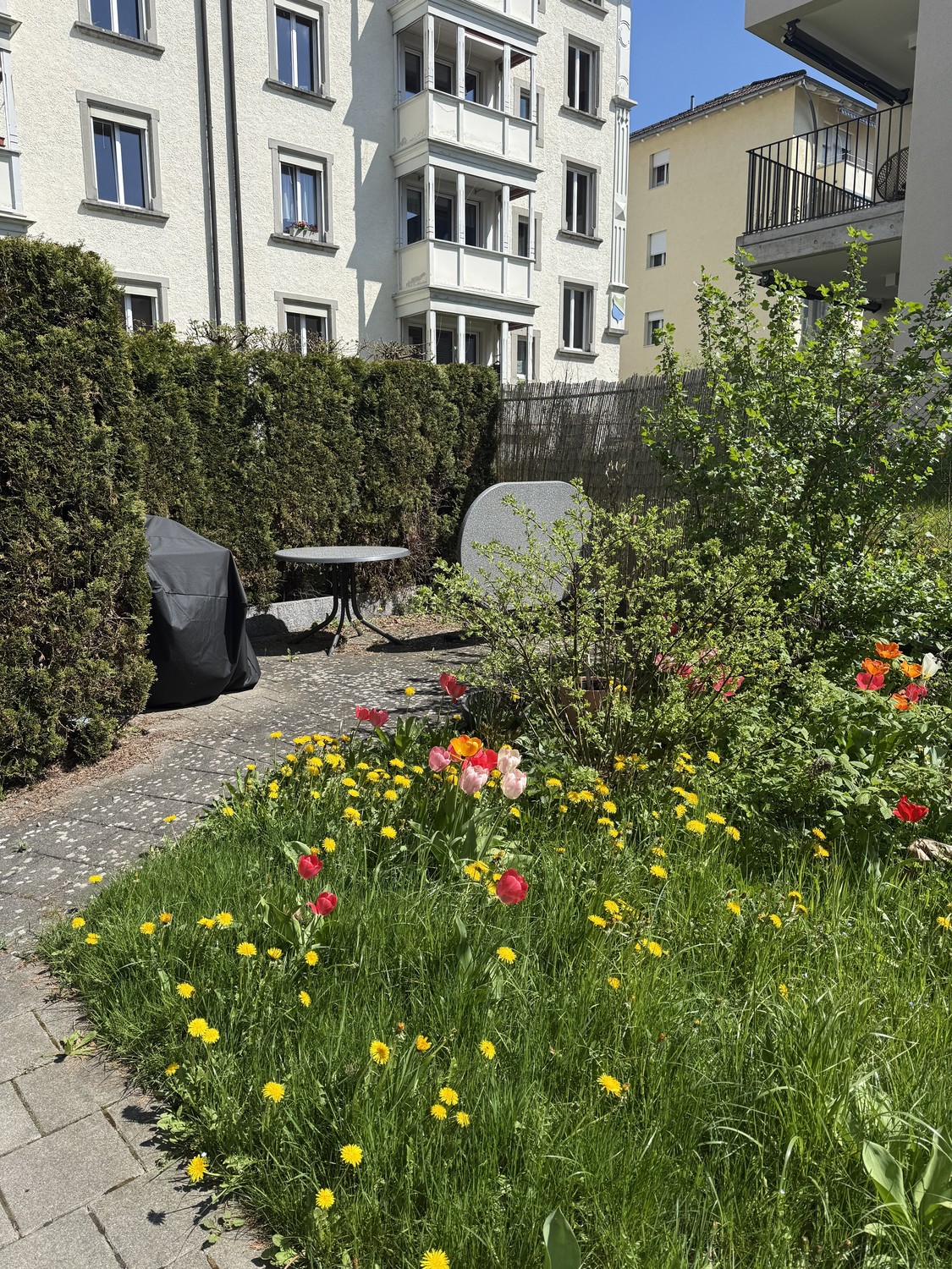 Appartamento di 3 ½ locali