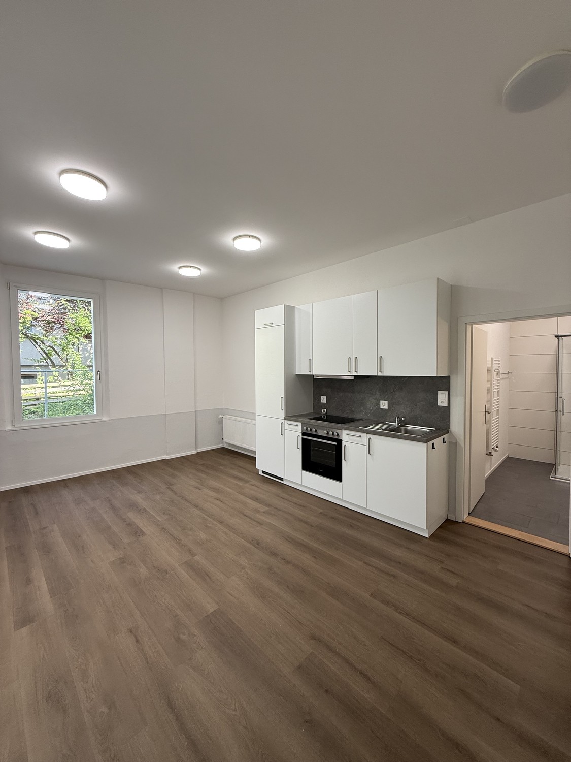 1 room apartment