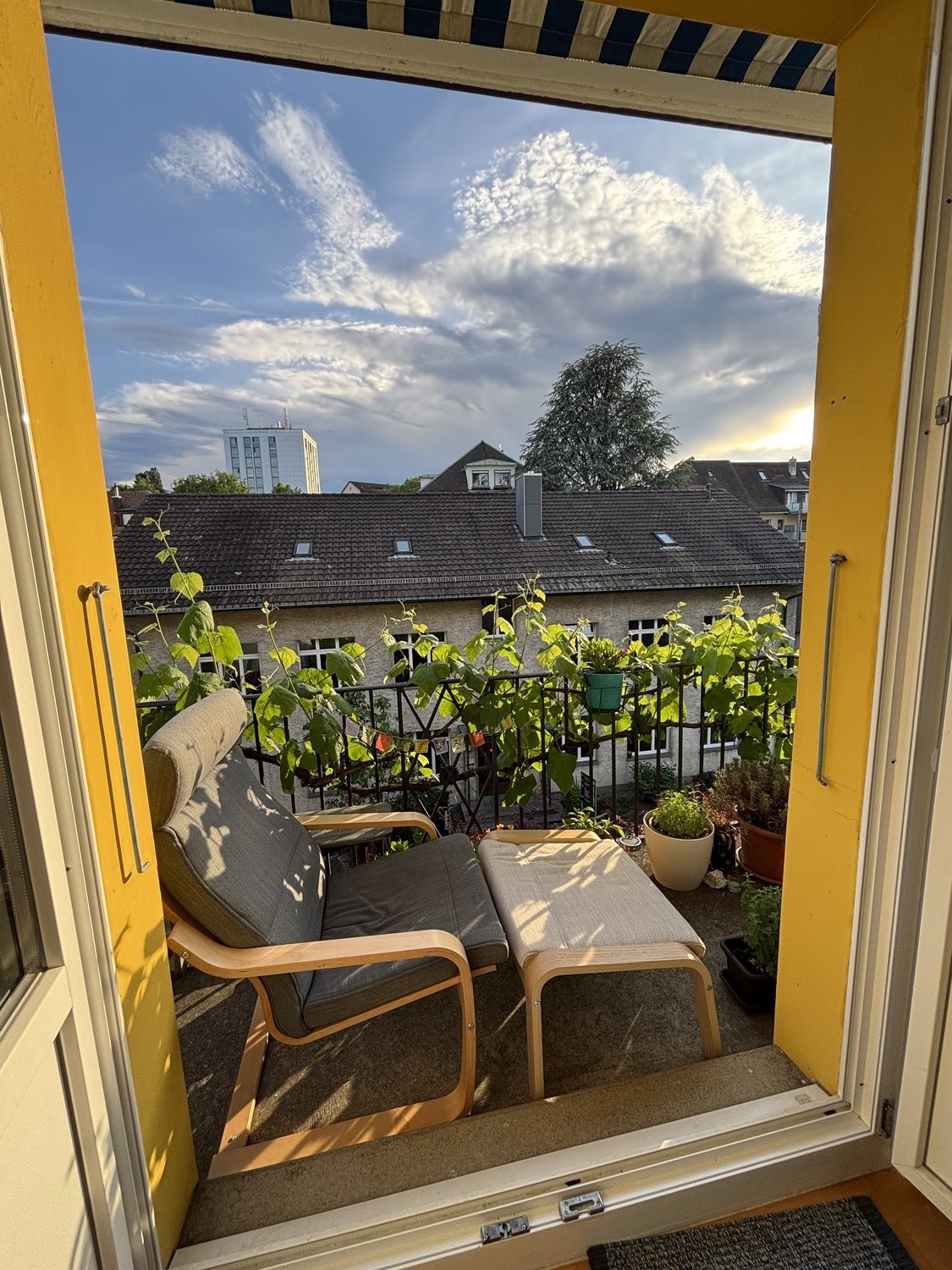 Appartement meublé de 3 ½ pièces