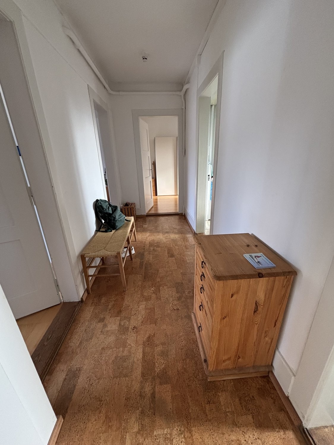 Appartement meublé de 3 ½ pièces