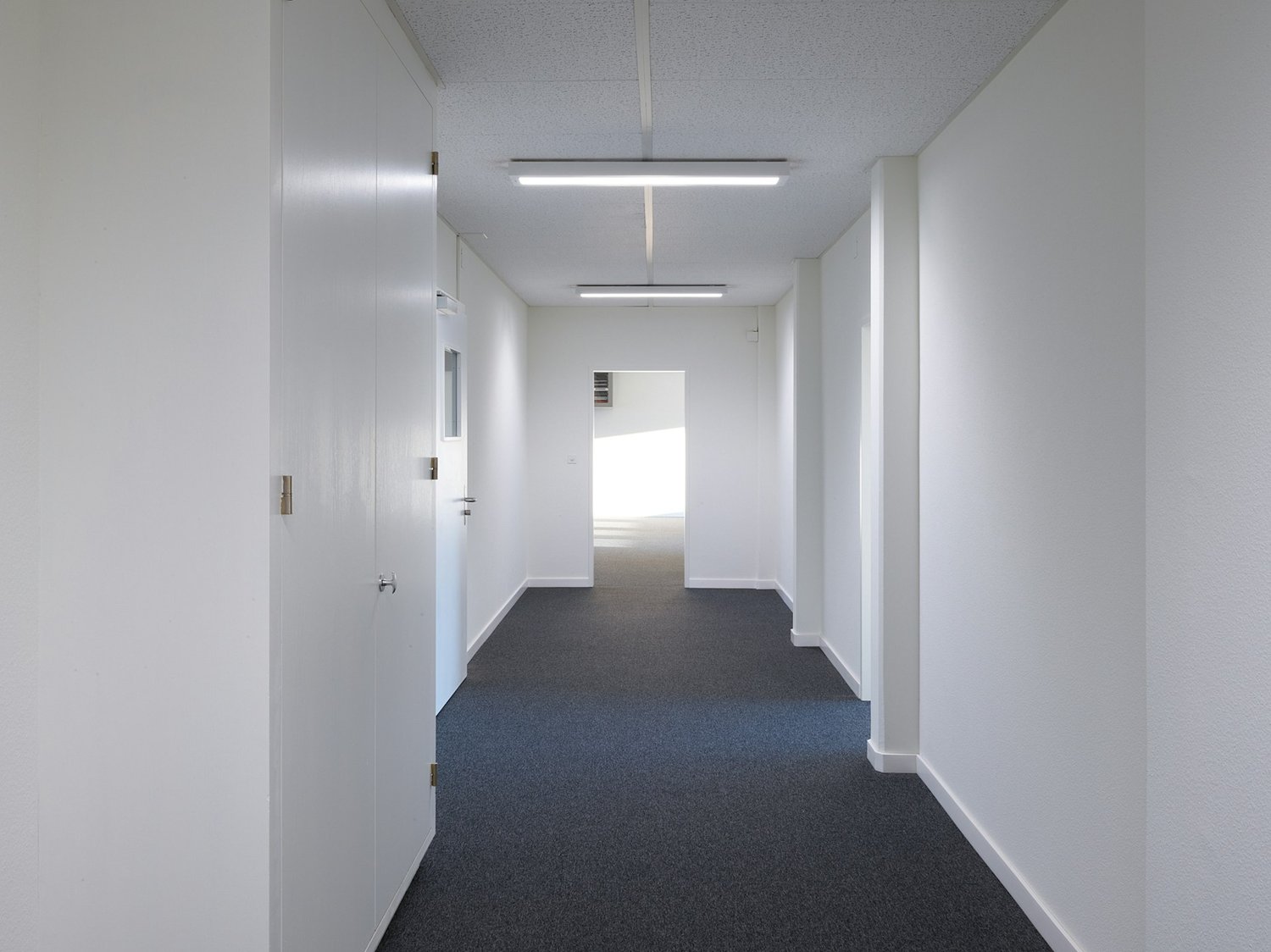 232m² office