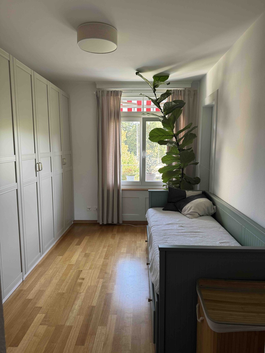 Chambre dans une colocation