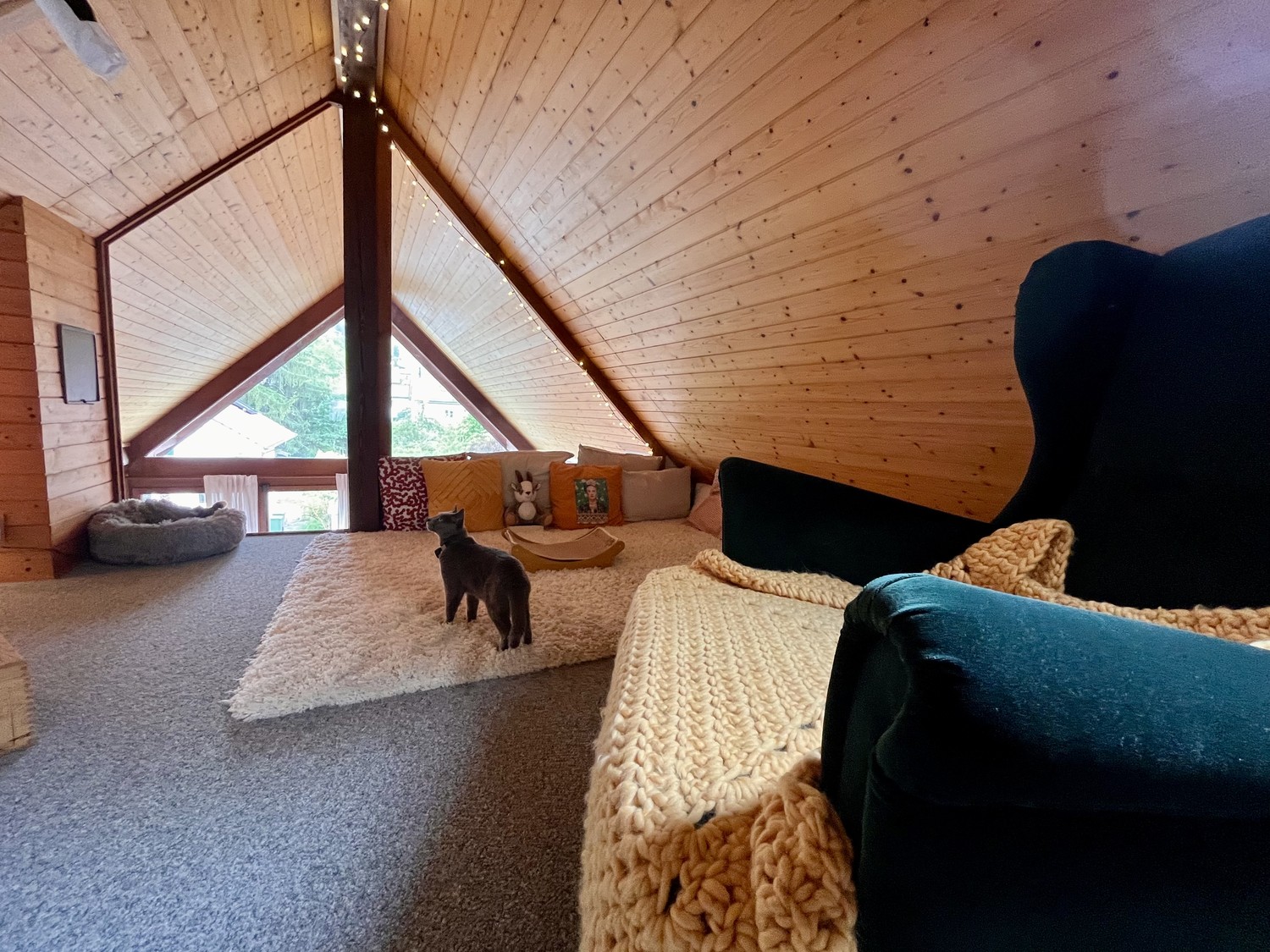 2 ½ rooms apartment