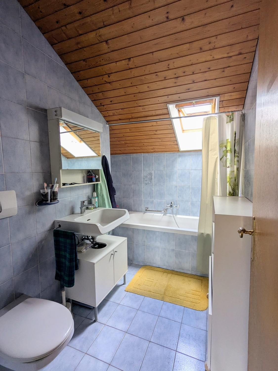 2 ½ Zimmer-Wohnung