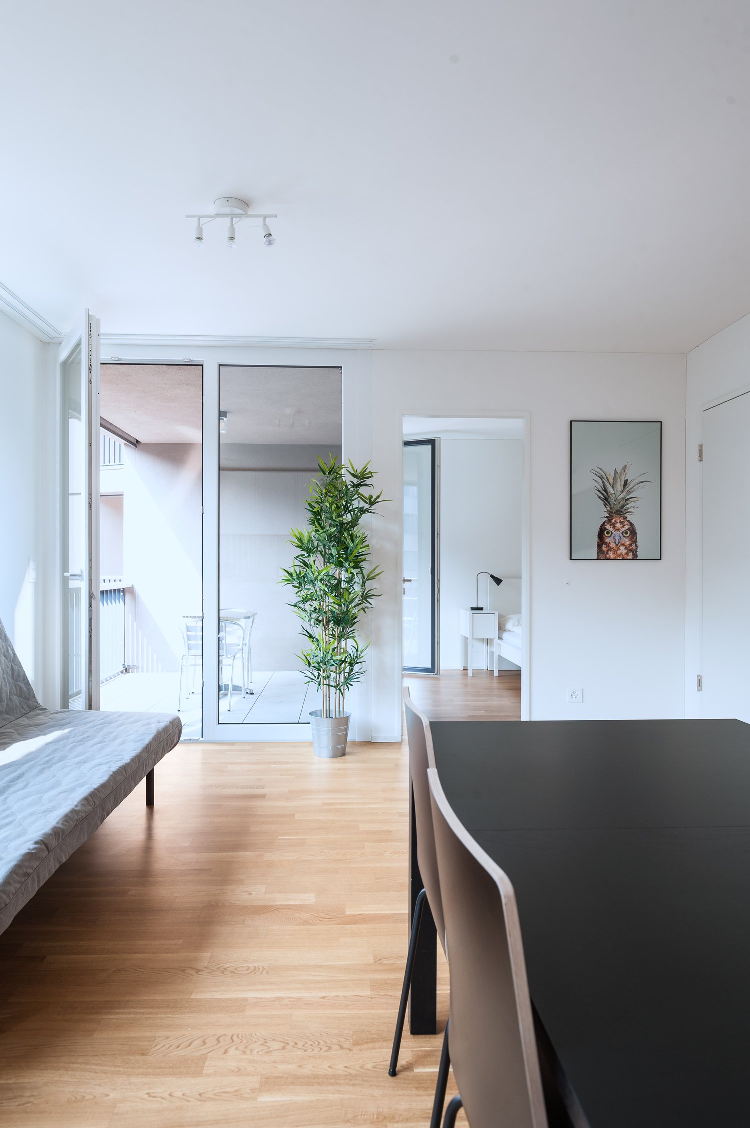 2 ½ rooms furnished flat