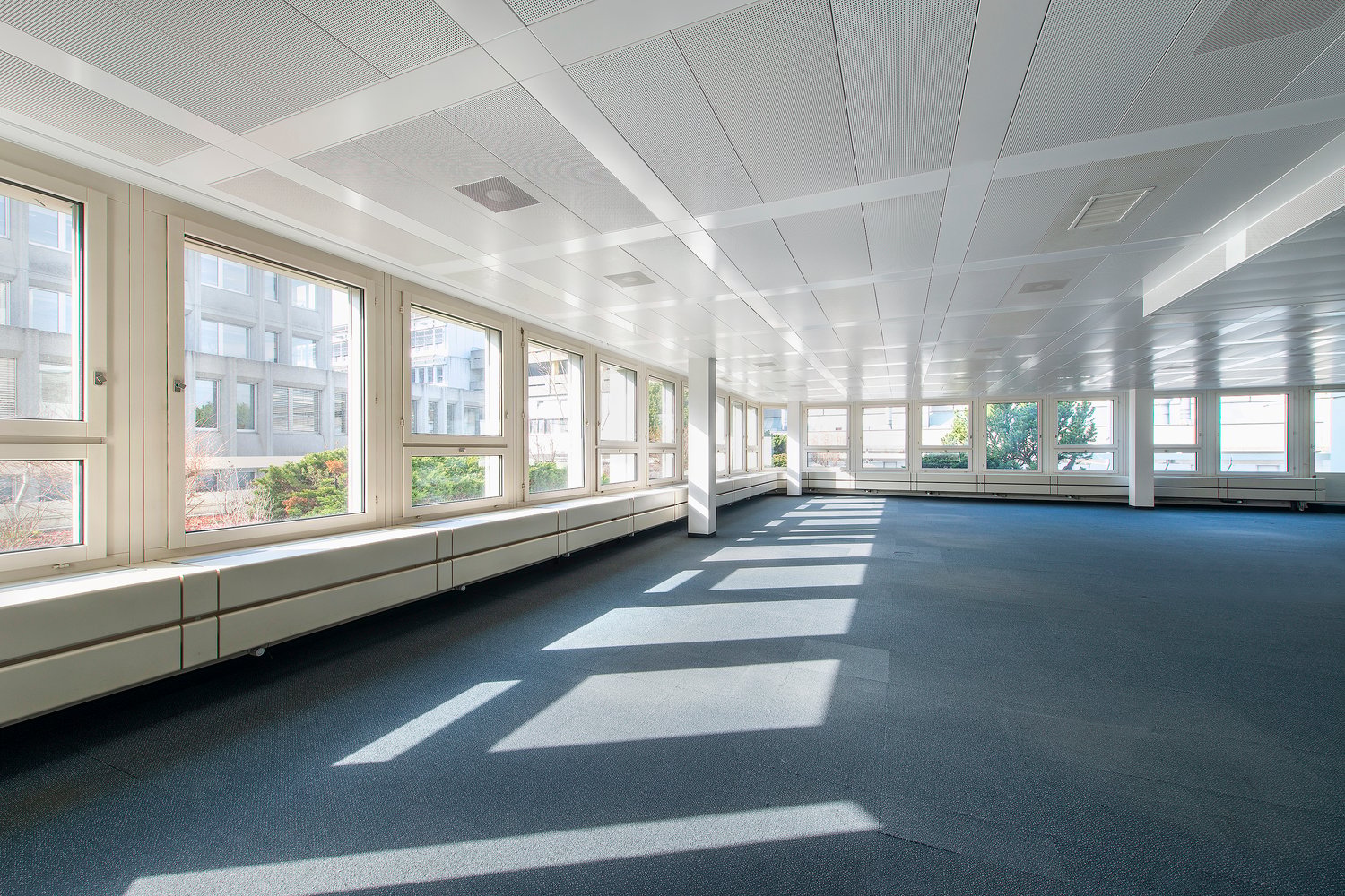 350m² office