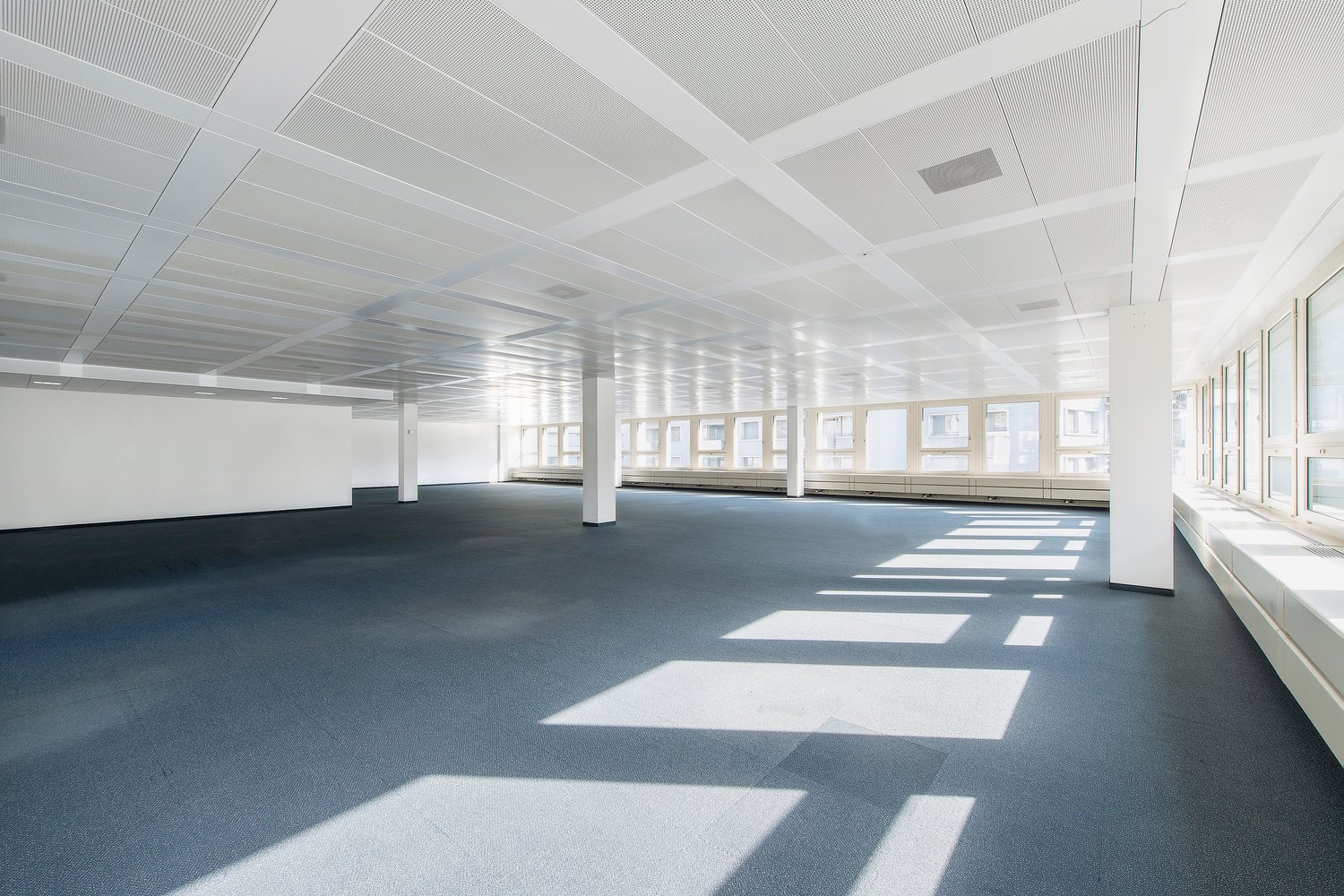 350m² office