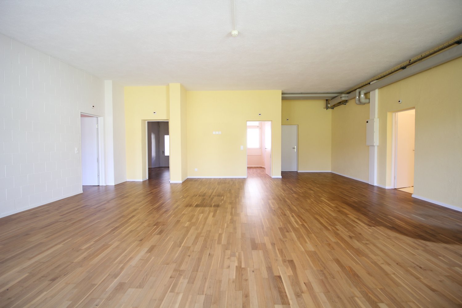 170m² studio