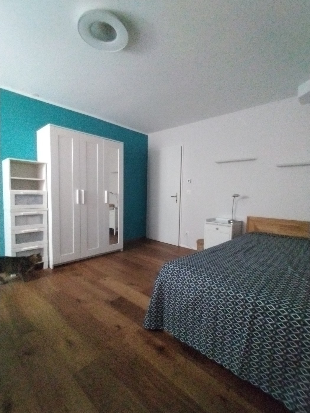 Room in a shared flat