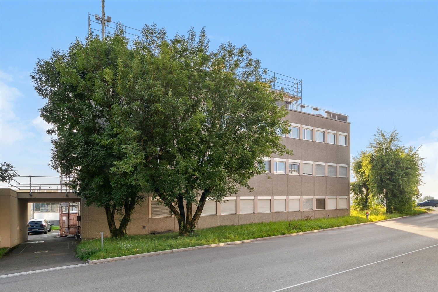 619m² commercial