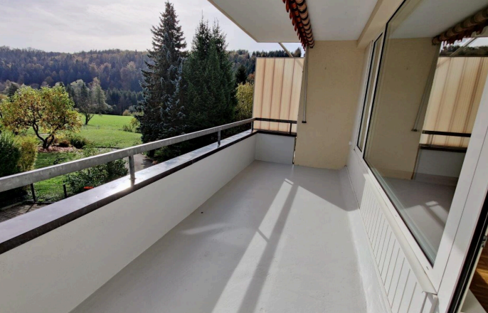 4 ½ rooms apartment