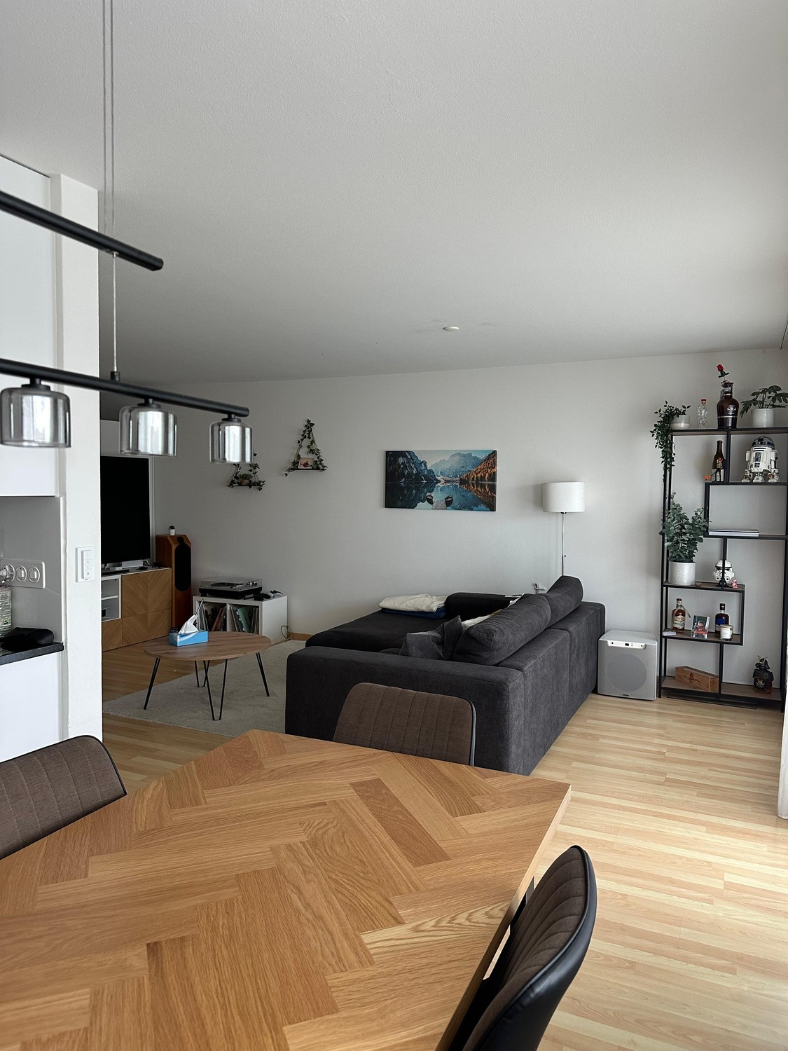 Appartement 3 ½ pièces