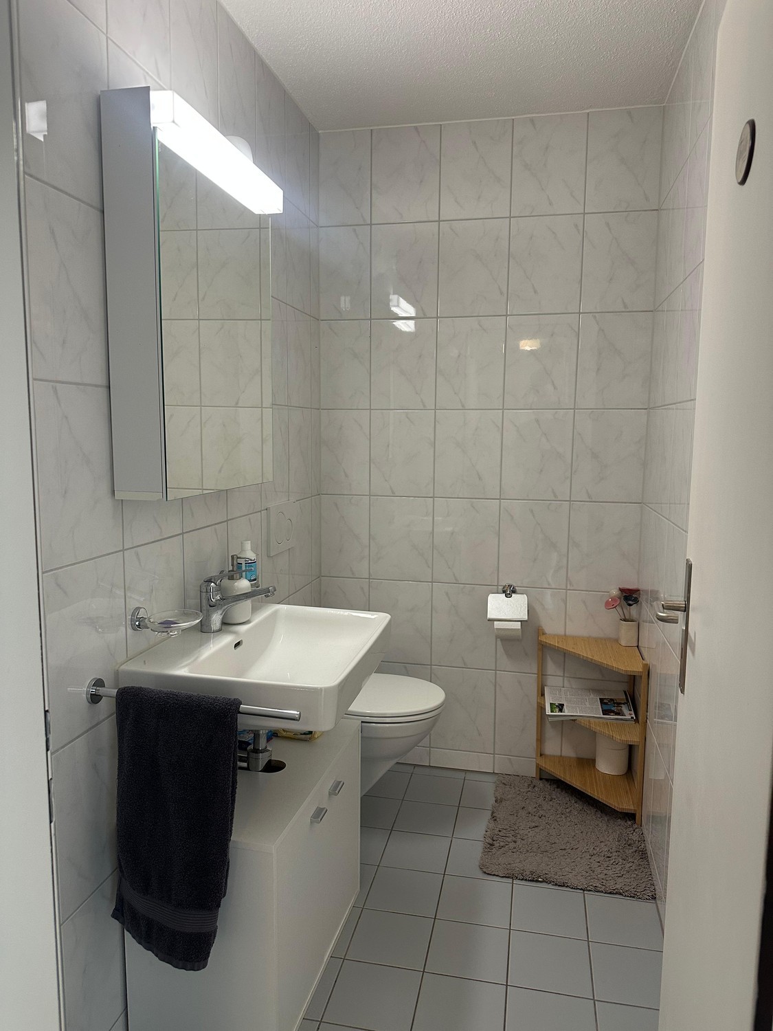 Appartement 3 ½ pièces