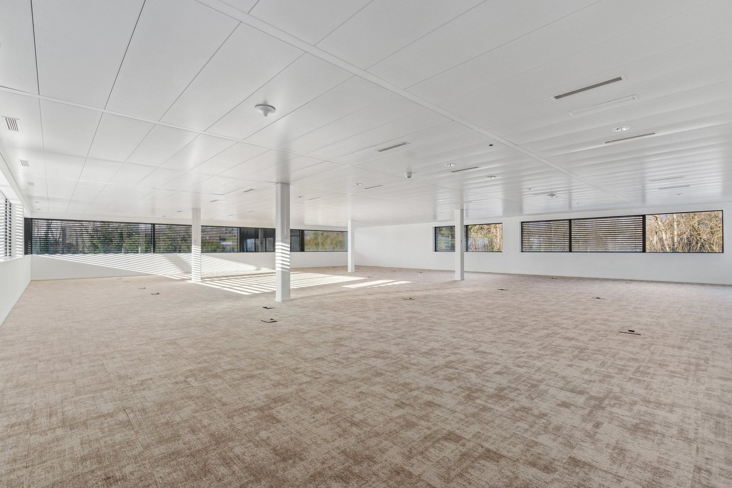 324m² ufficio