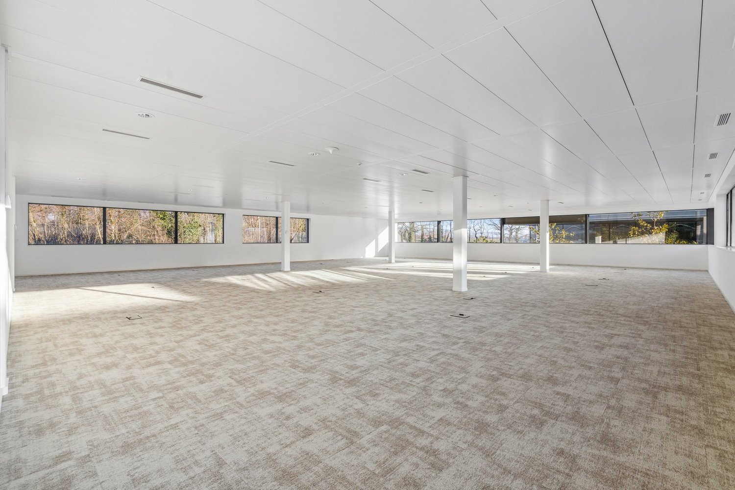 324m² ufficio