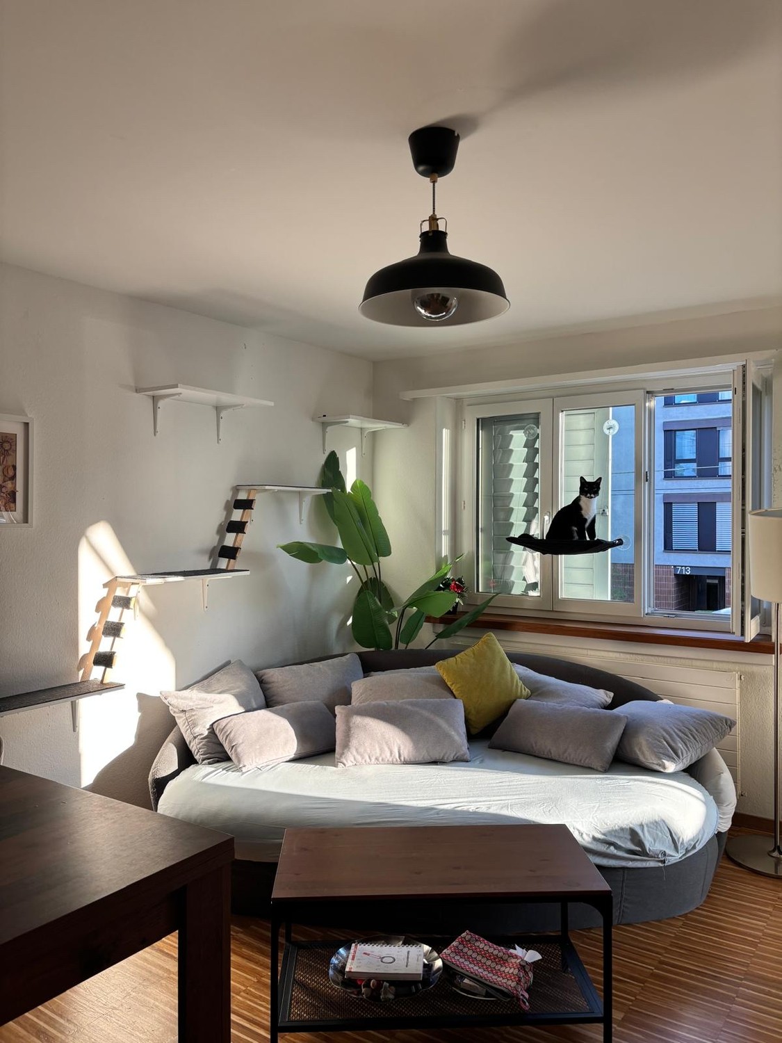 Appartement de 3 ½ pièces