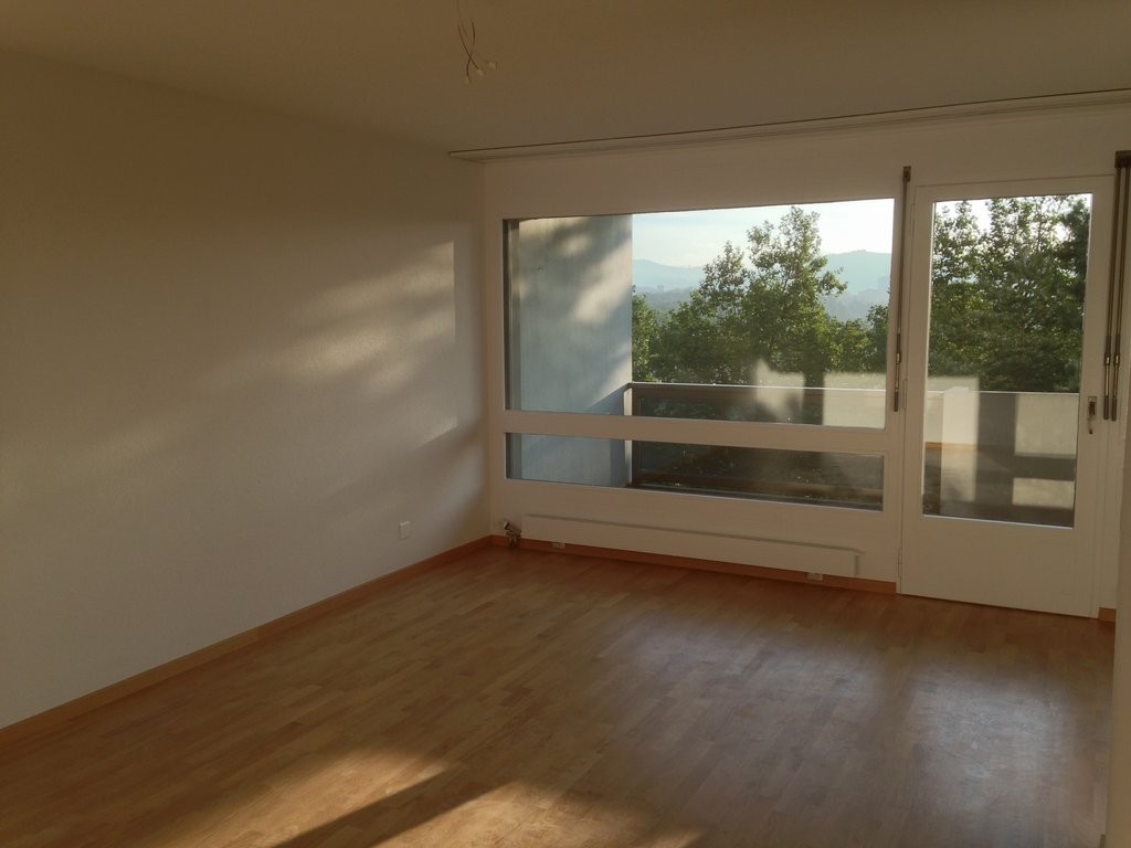 1 room apartment