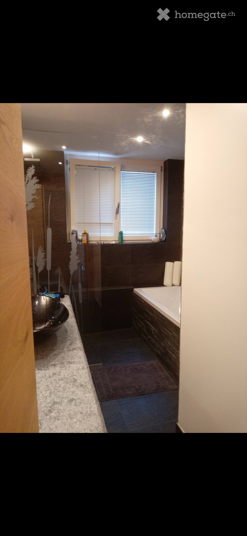 3 ½ Zimmer Wohnung