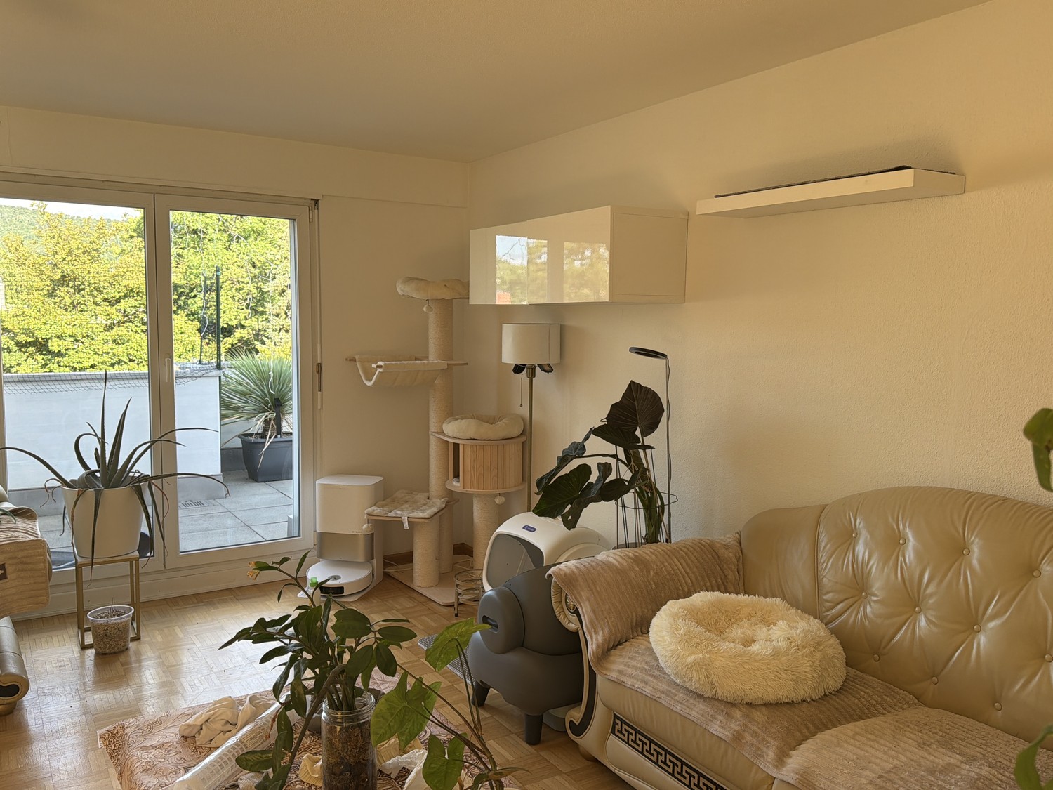 Room in a shared flat