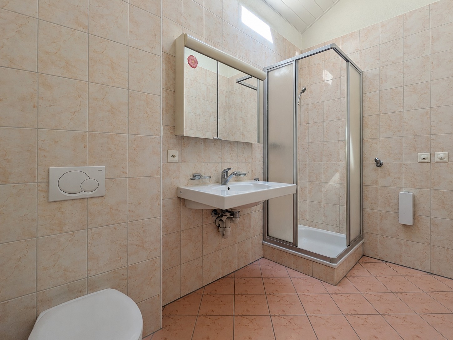 4 ½ Zimmer-Wohnung
