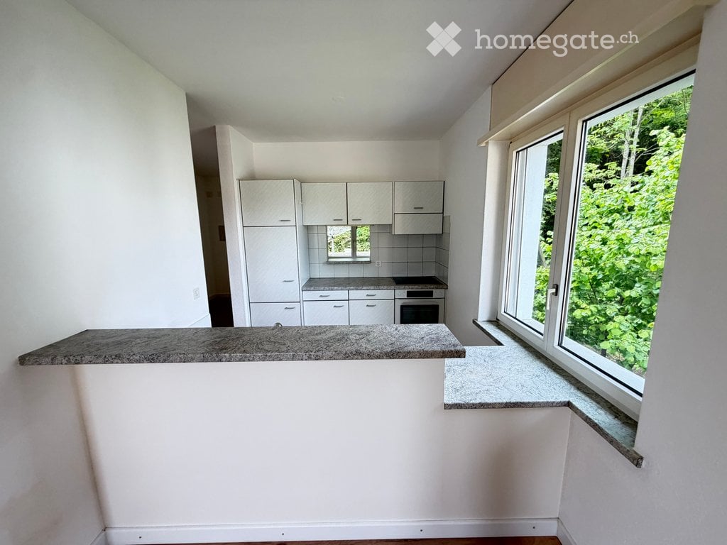 3 ½ Zimmer Wohnung