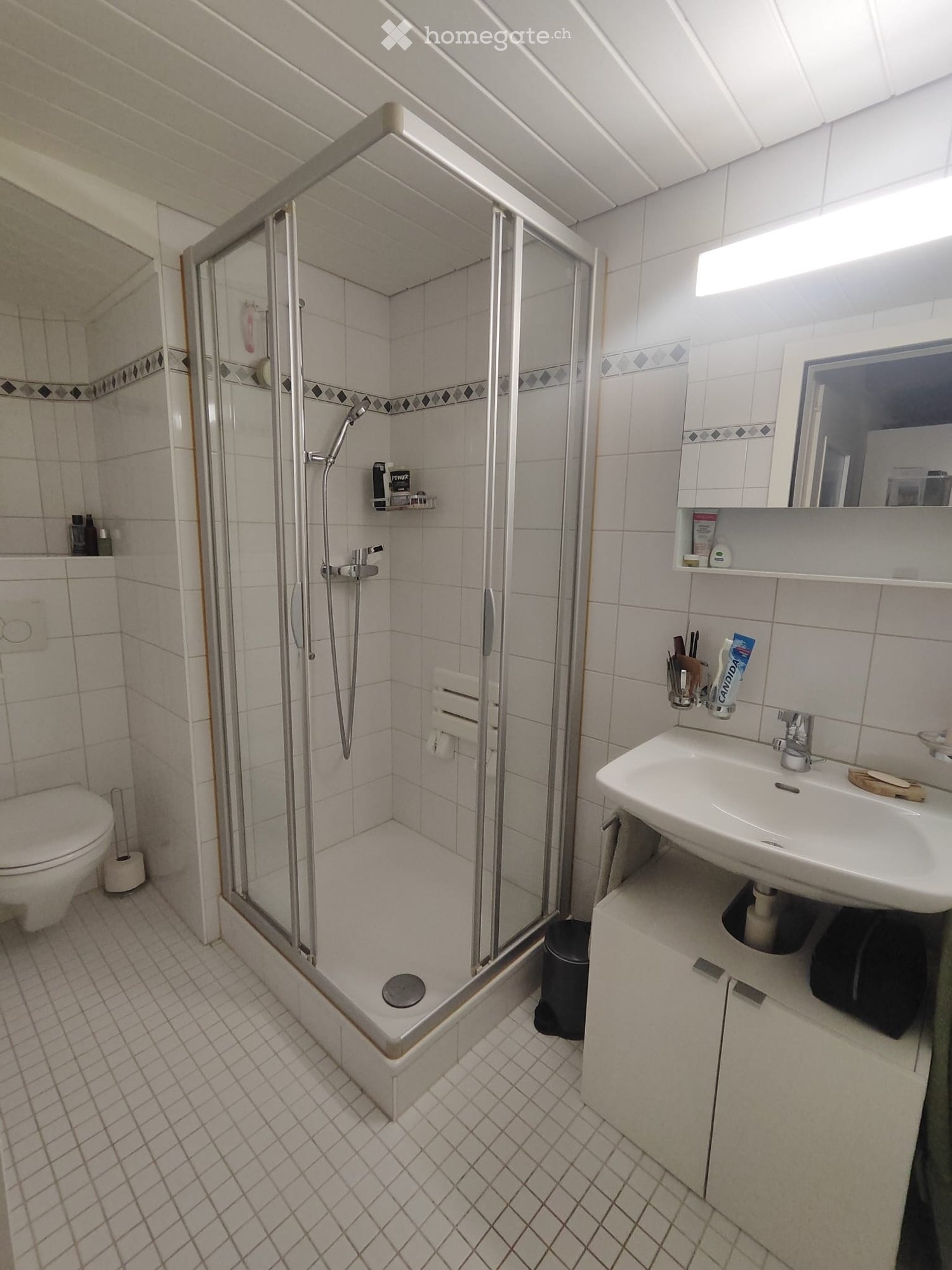2 ½ Zimmer Wohnung