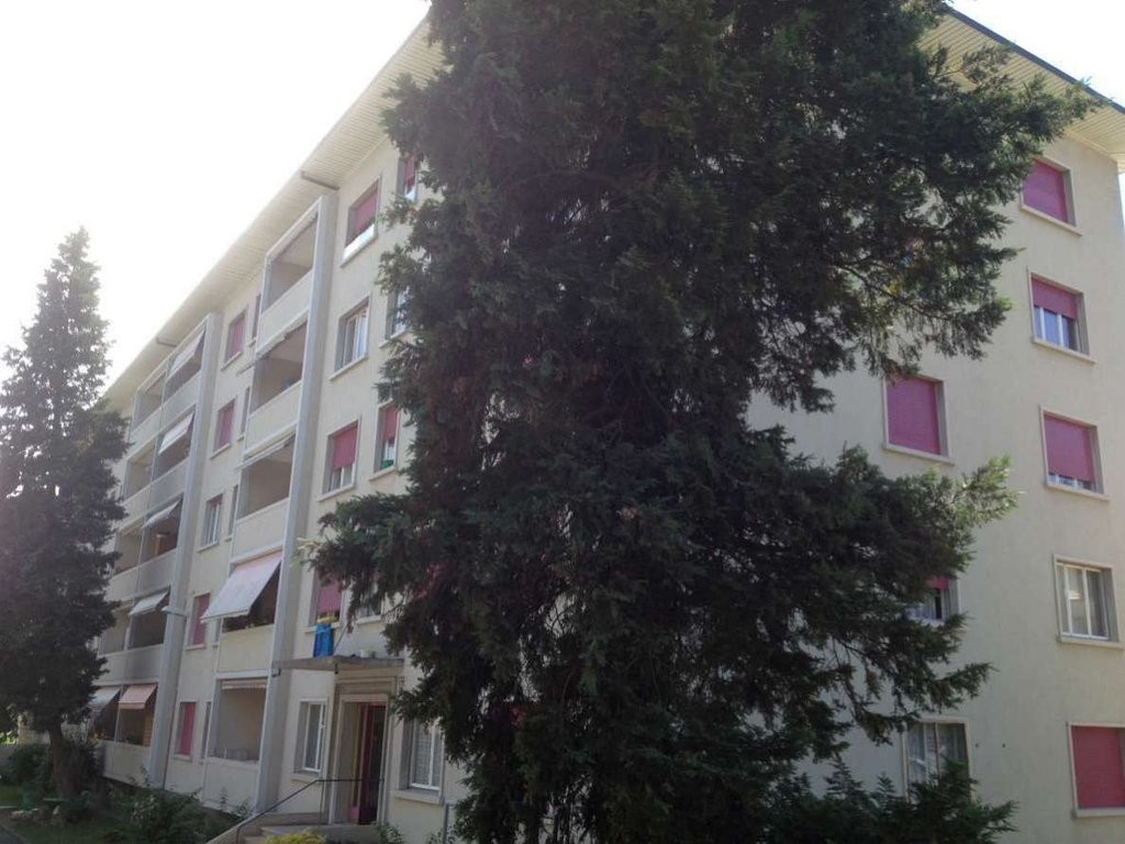 1 room apartment
