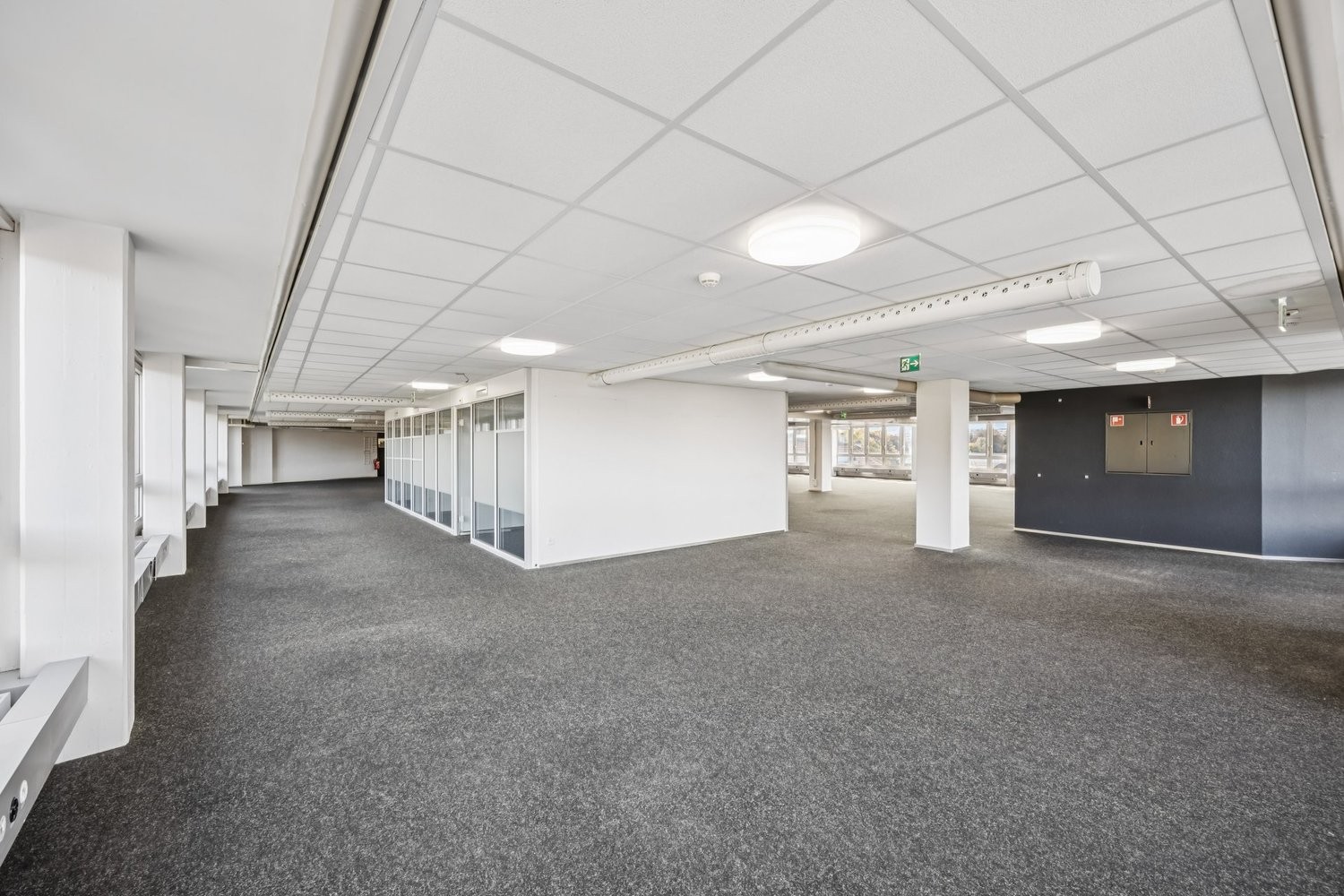 5000m² office