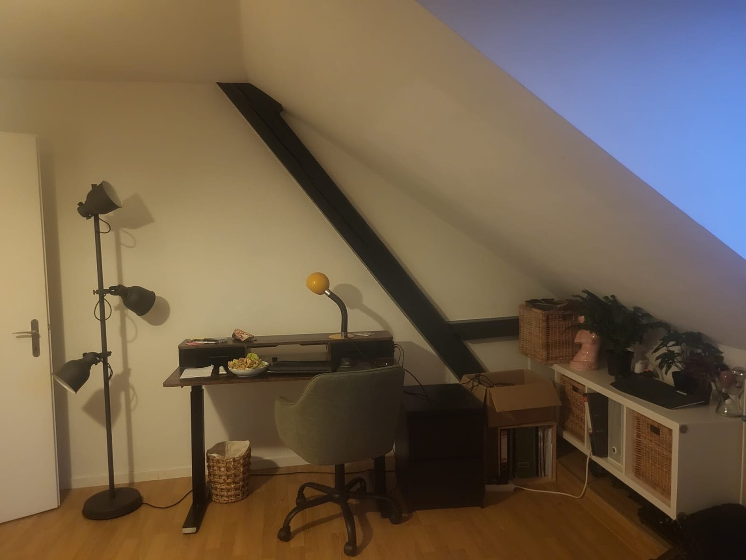 Room in a shared flat